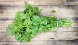 香菜爆料全过程视频,揭秘幕后真相